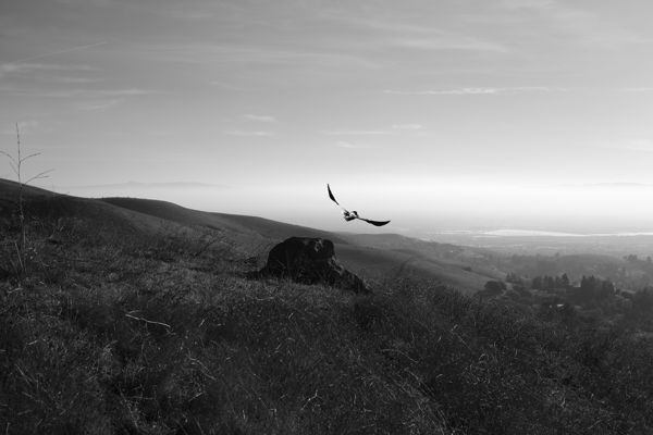 Mission Peak
